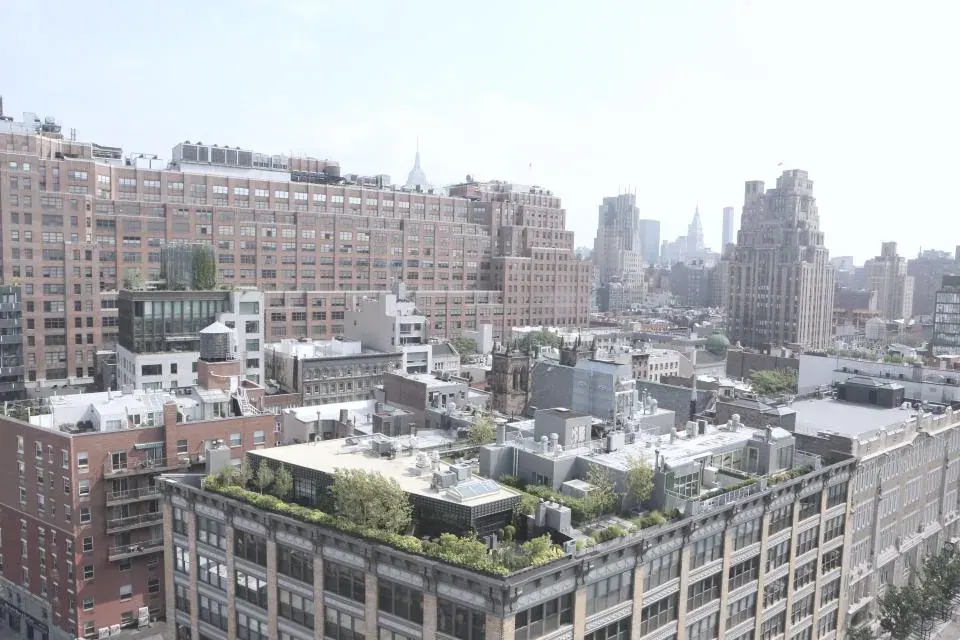 A planted rooftop garden above a city street